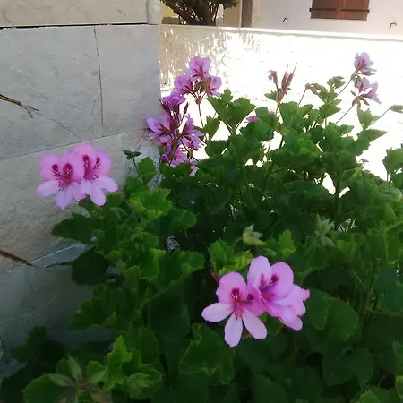 Fenicia Relais * Scoglitti